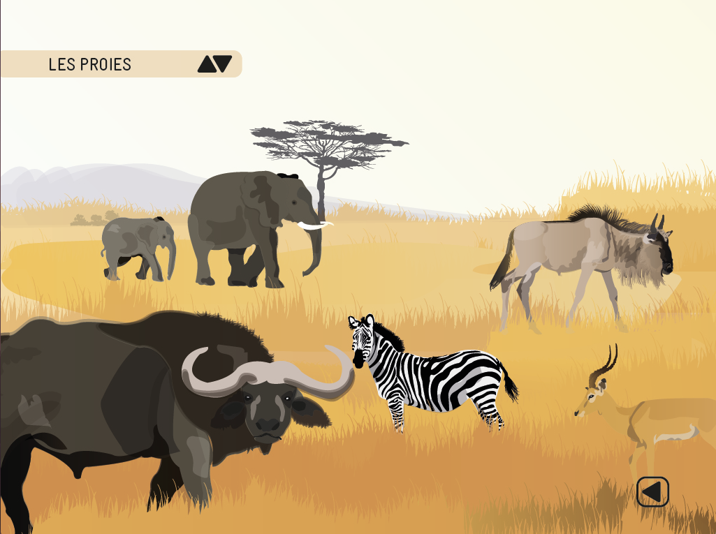 Capture d_écran 2018-09-18 à 00.05.15